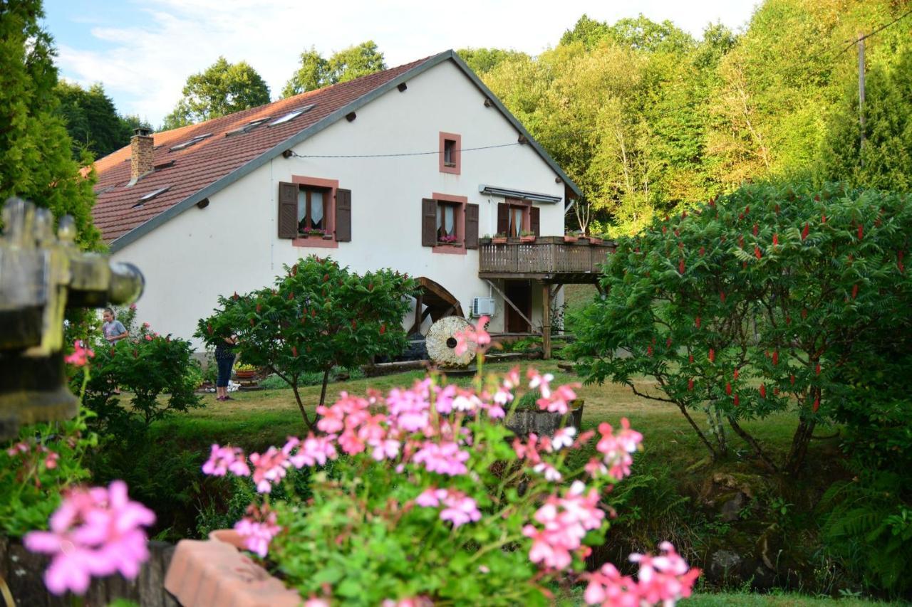 Acconat-Domaine du Moulin  Apartment Ban-de-Sapt Exterior foto